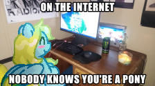 on the internet, nobody knows you're a pony!